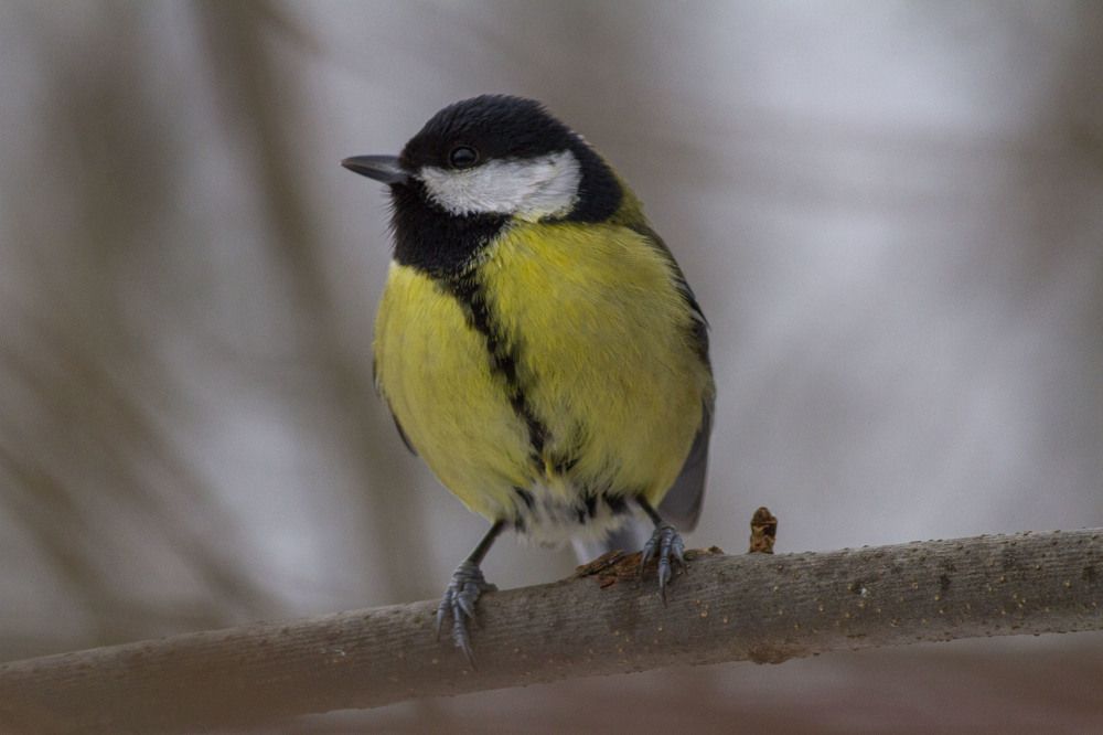 Photograph by Владислав Капанов