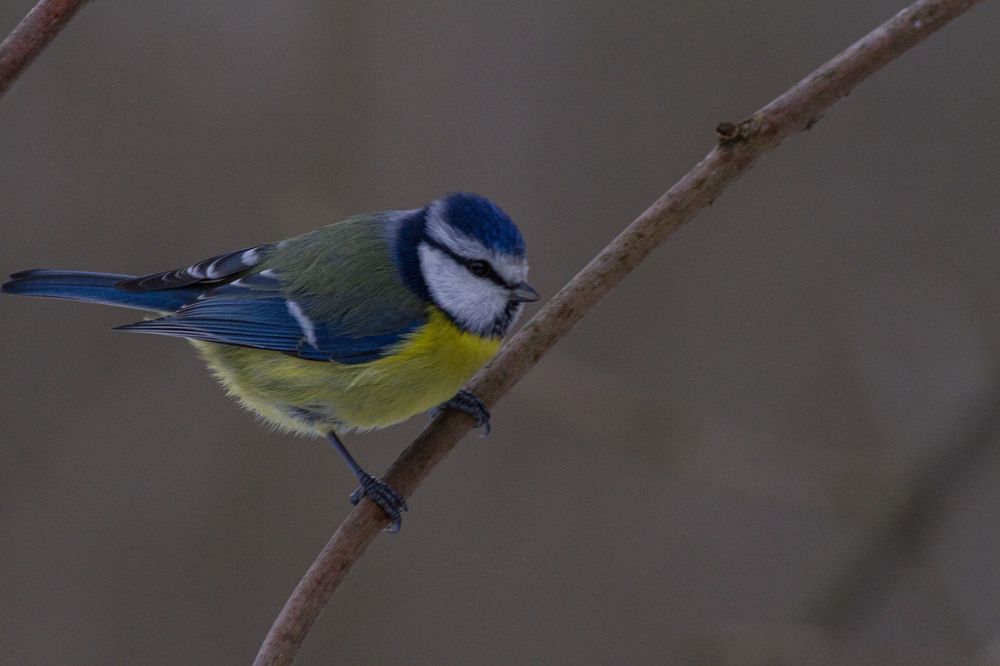Photograph by Владислав Капанов