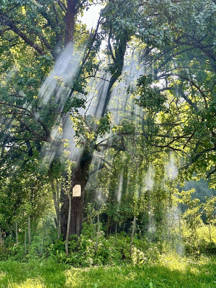 Photograph by Елена