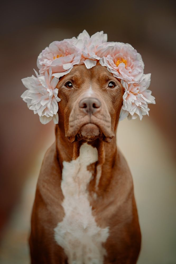 Photograph by Мария Мадзик