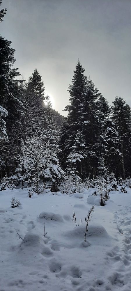 Photograph by Елена Валерьевна