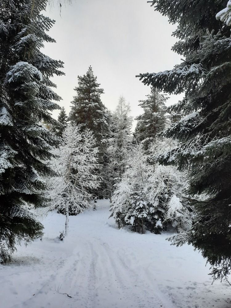 Photograph by Елена Валерьевна