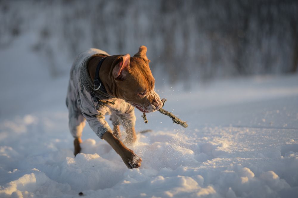 Photograph by Roman Fabrichny