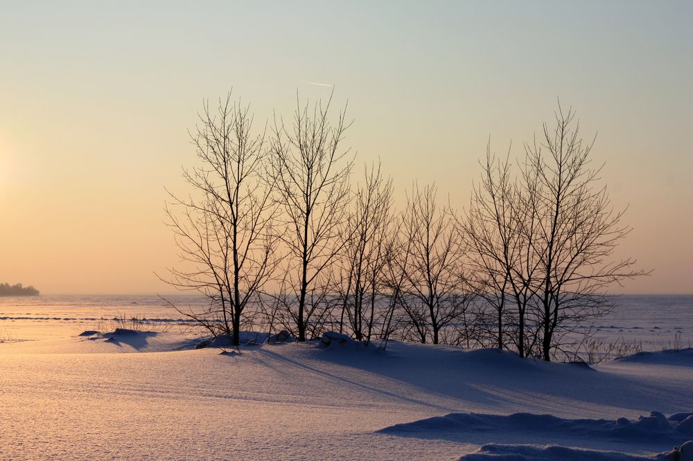 Photograph by Татьяна