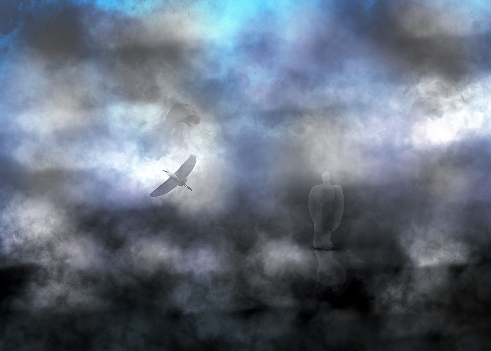 Photograph by Виктор Холодов