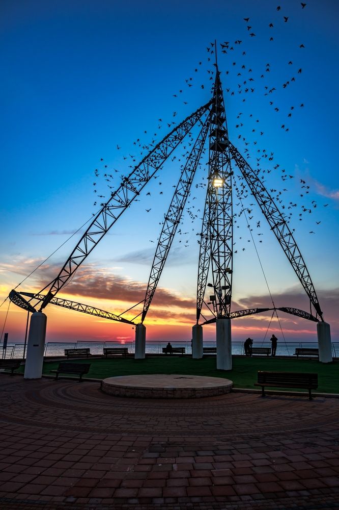 Photograph by Sharone