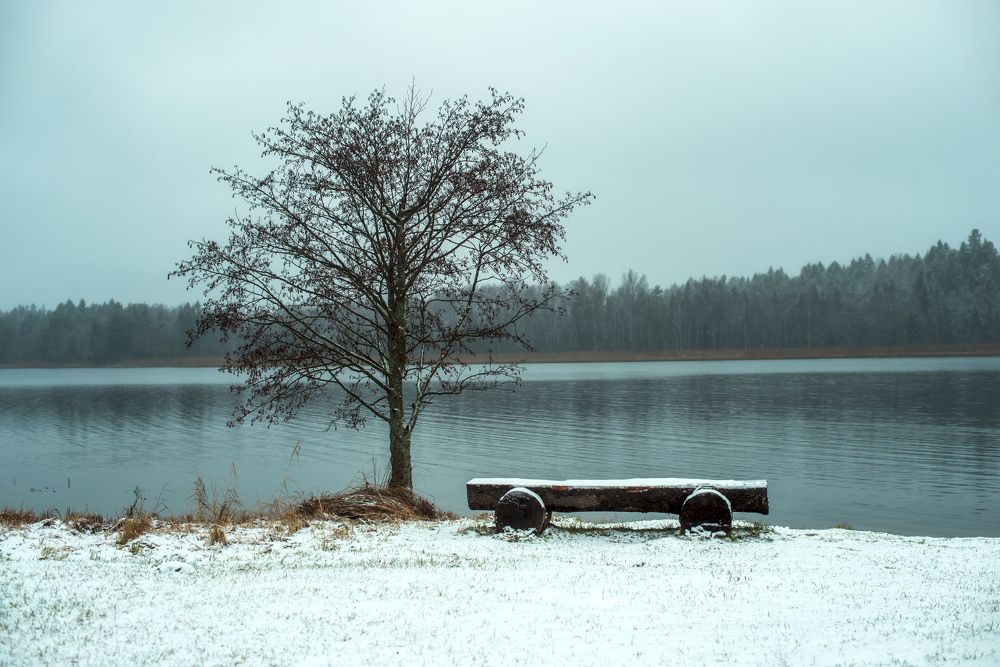 Photograph by Ксения Базарова