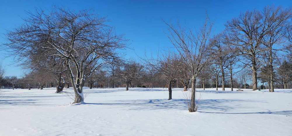 Фотография автора Adriana Rocha