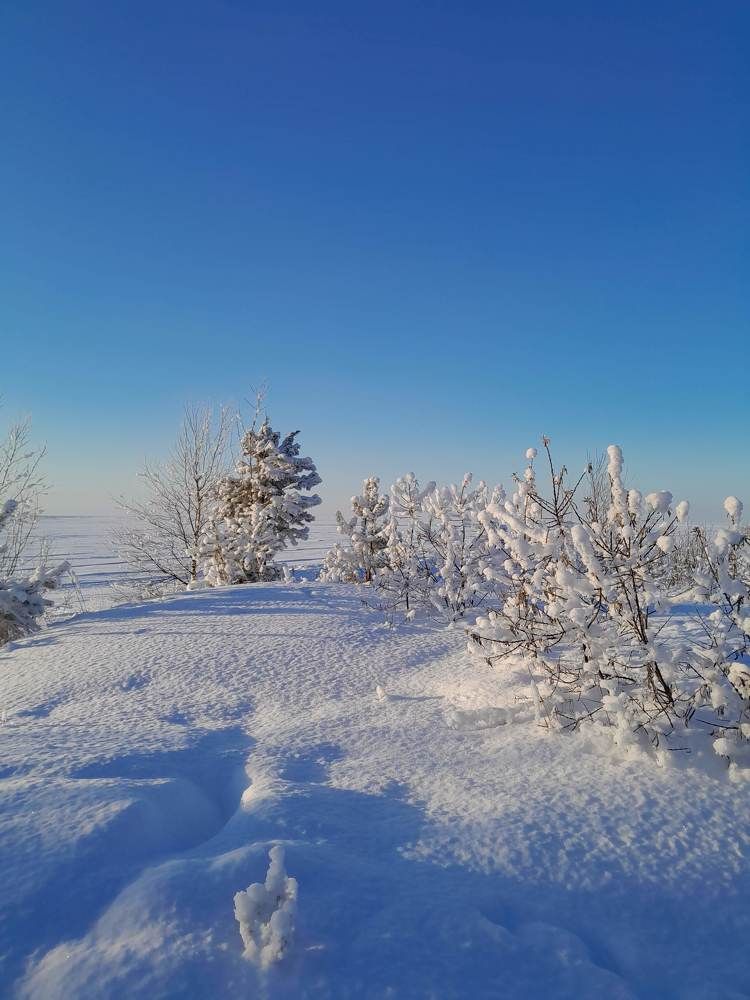 Photograph by Виталий Глазачев