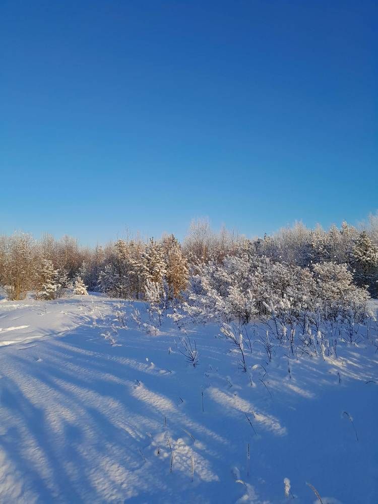 Photograph by Виталий Глазачев