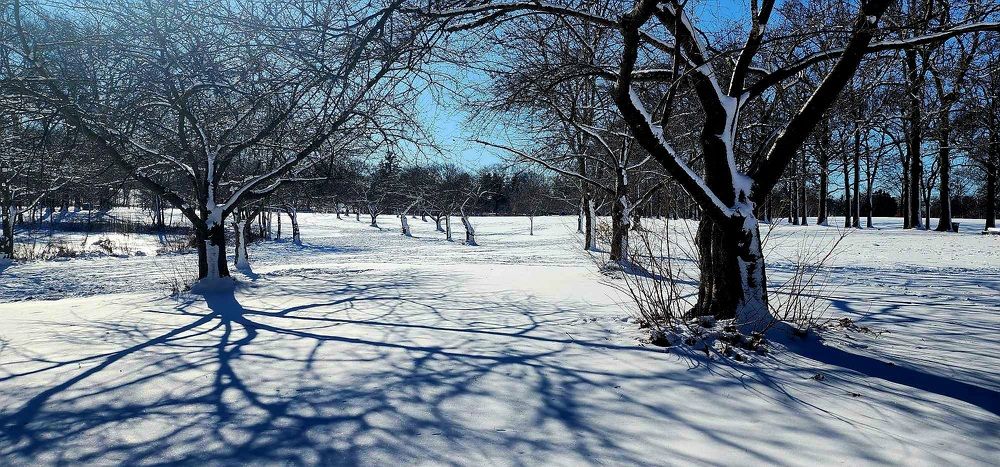 Фотография автора Adriana Rocha