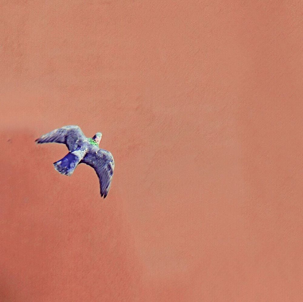 Photograph by Ксения Орлова