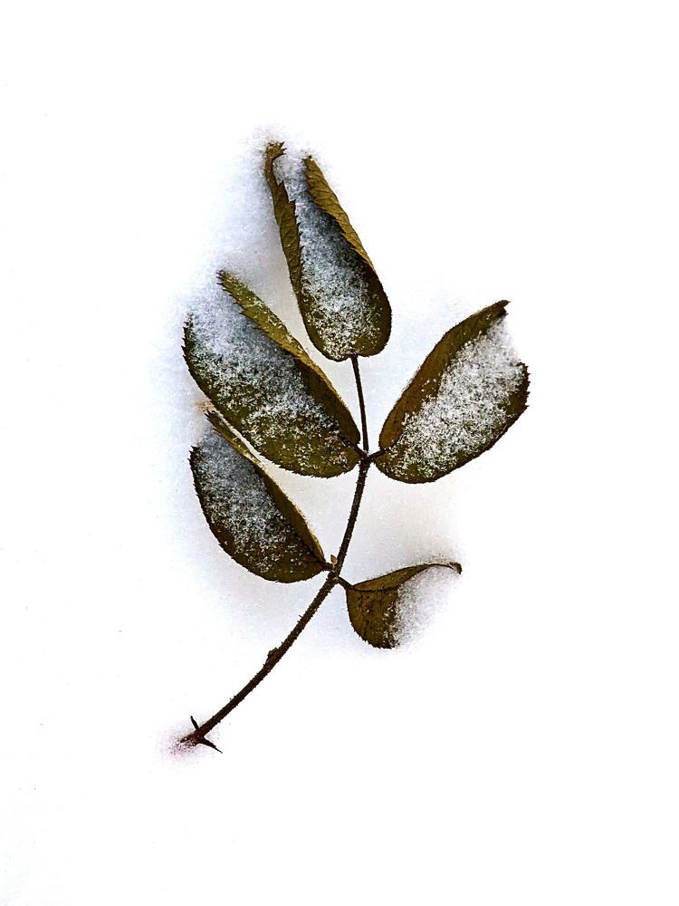 Photograph by Дмитрий Солодухин