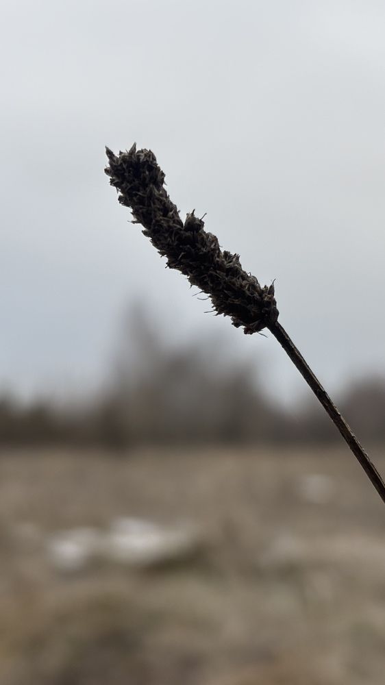 Photograph by Елена Гущина