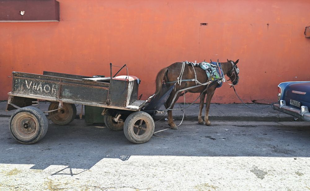 Photograph by Екатерина Степанова