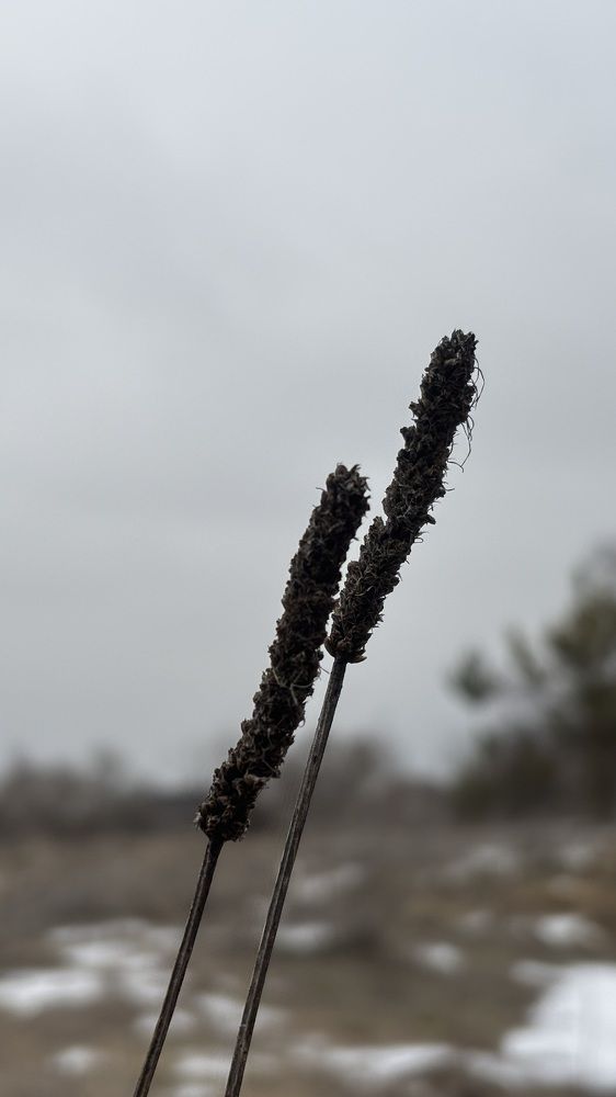 Photograph by Елена Гущина