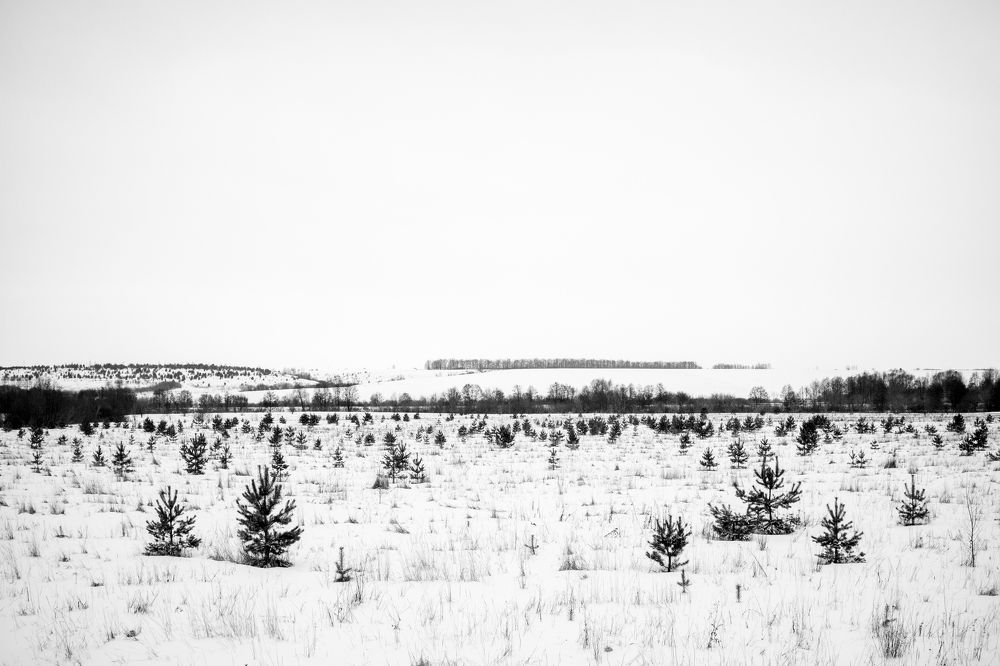 Photograph by Андрей Трубачев