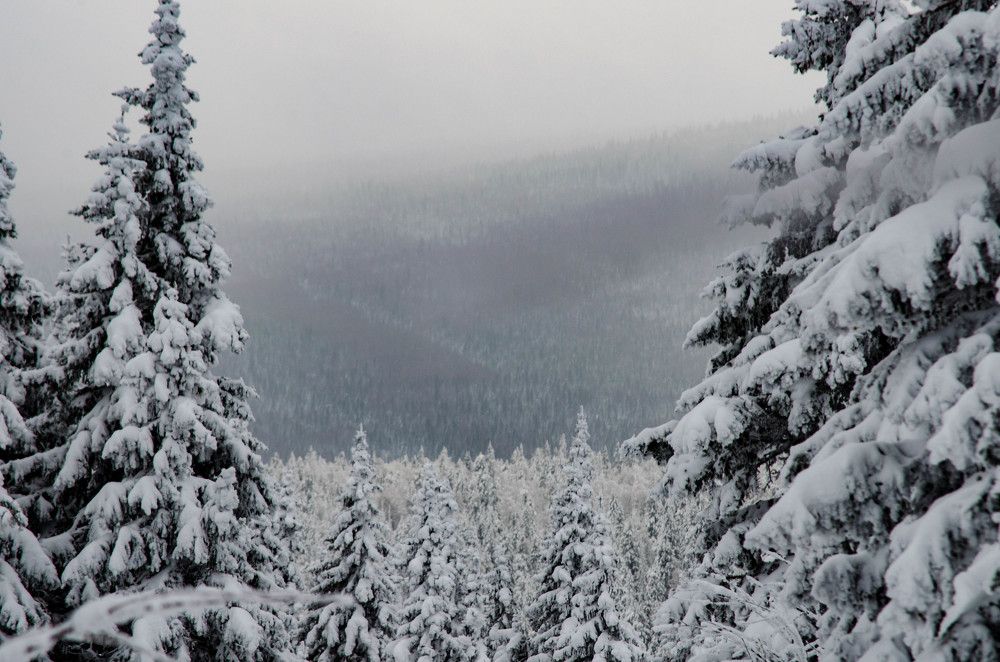 Photograph by ANDREY BATALOV