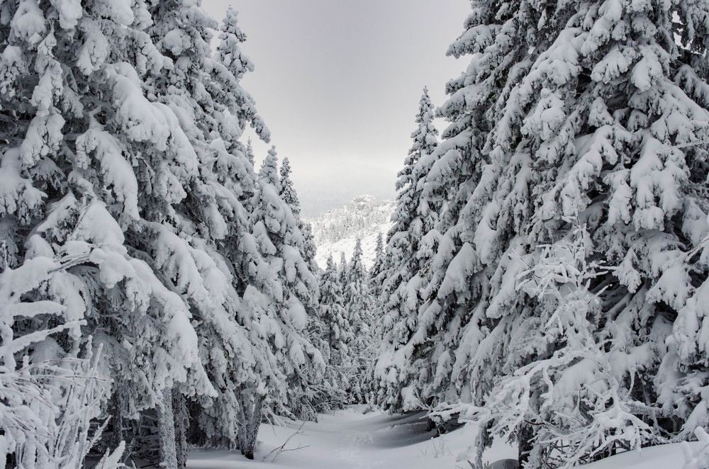 Photograph by ANDREY BATALOV