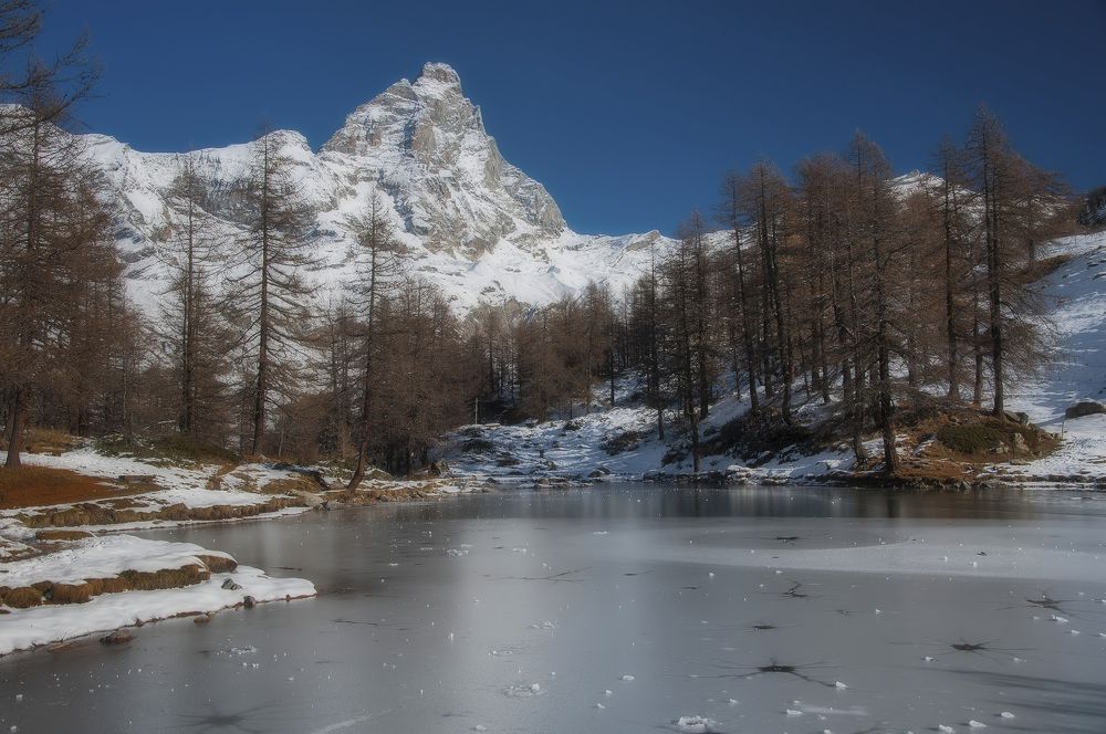 Photograph by Svetlana Rizzo