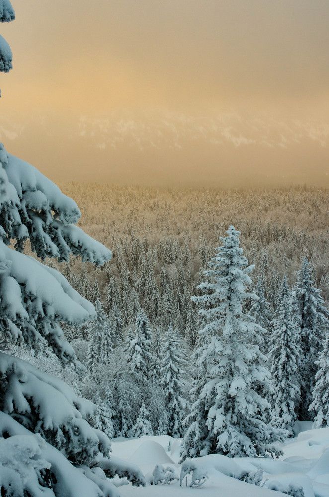 Photograph by ANDREY BATALOV