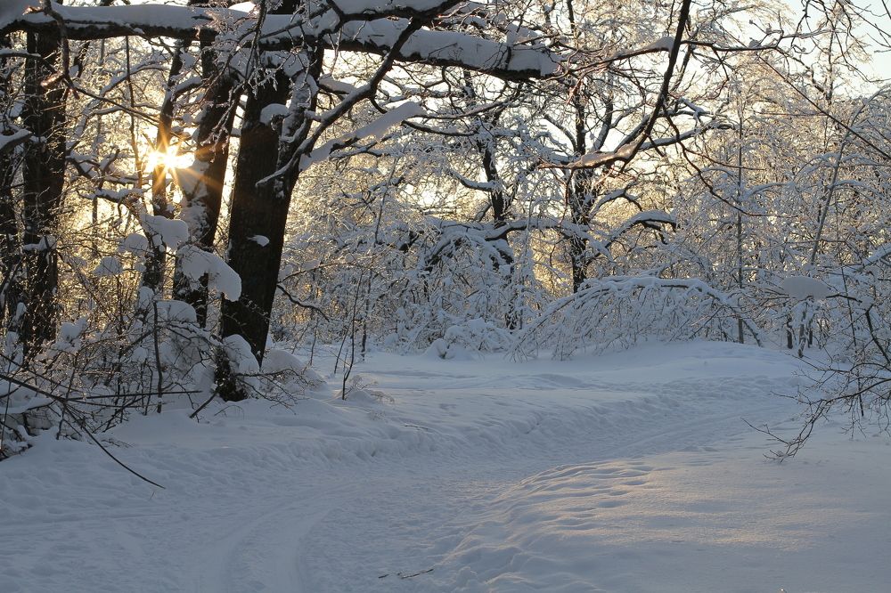 Photograph by Елена