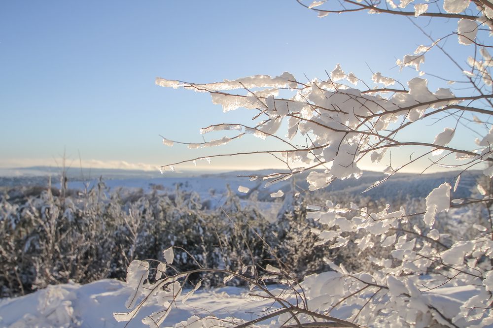 Photograph by Елена