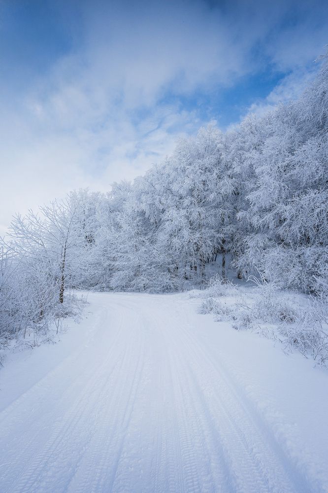 Photograph by Дмитров Андрей