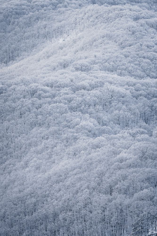 Photograph by Дмитров Андрей