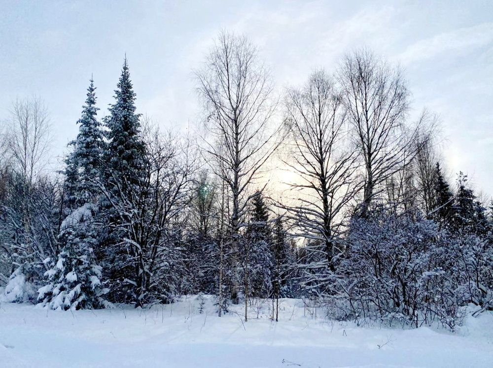 Photograph by Galina Leskova