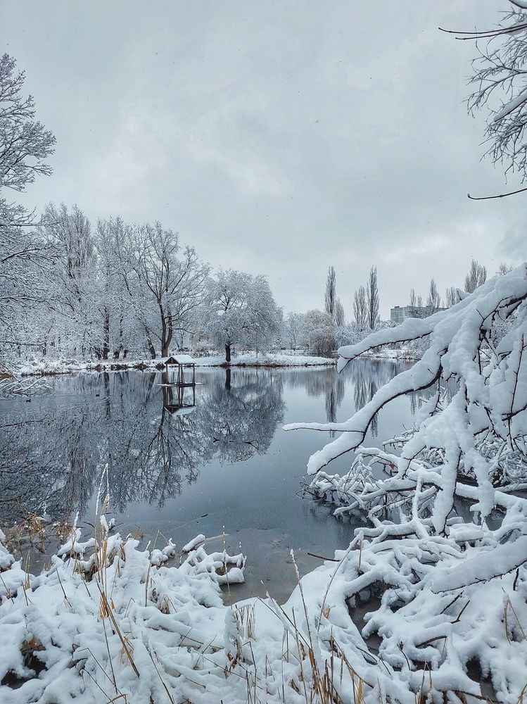 Photograph by Юлия Коробкова