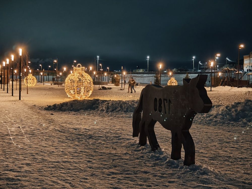 Фотография автора Olga Shchetinina