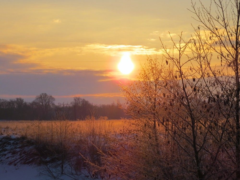 Photograph by Лариса Басова