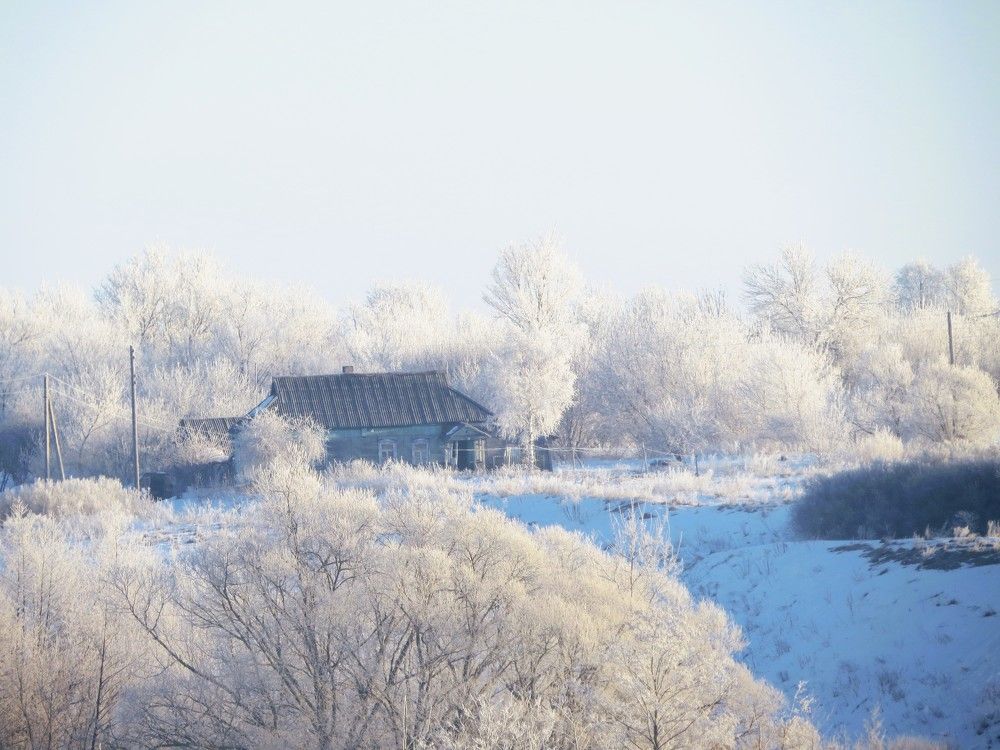 Photograph by Лариса Басова