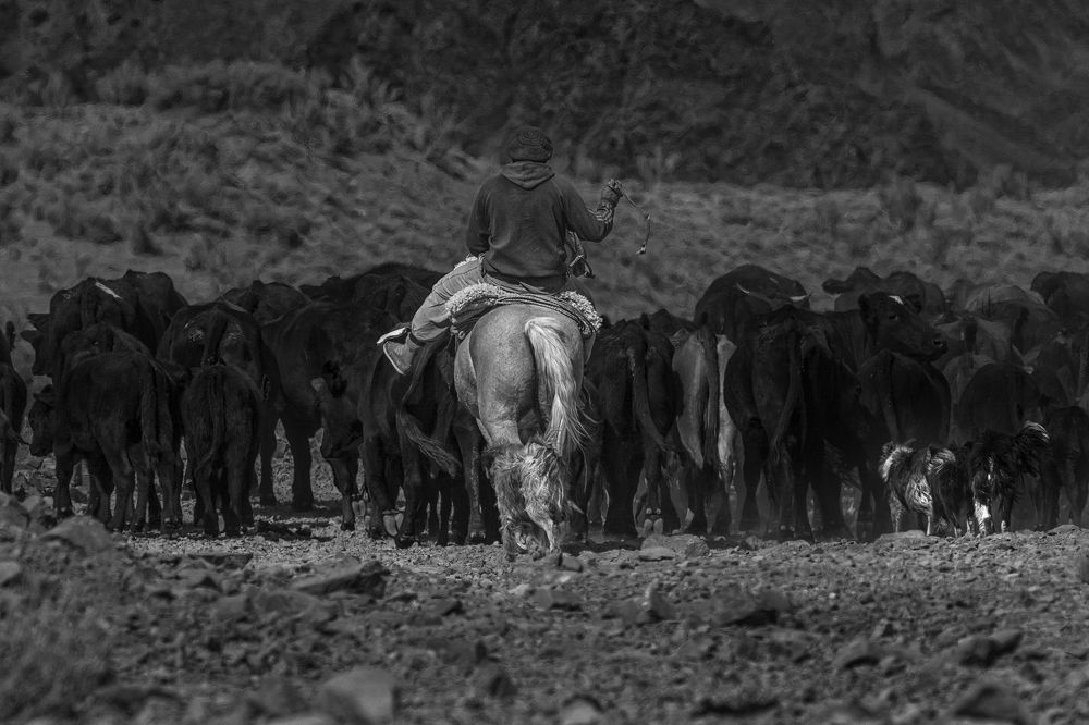 Фотография автора Ana Maria Descoubes