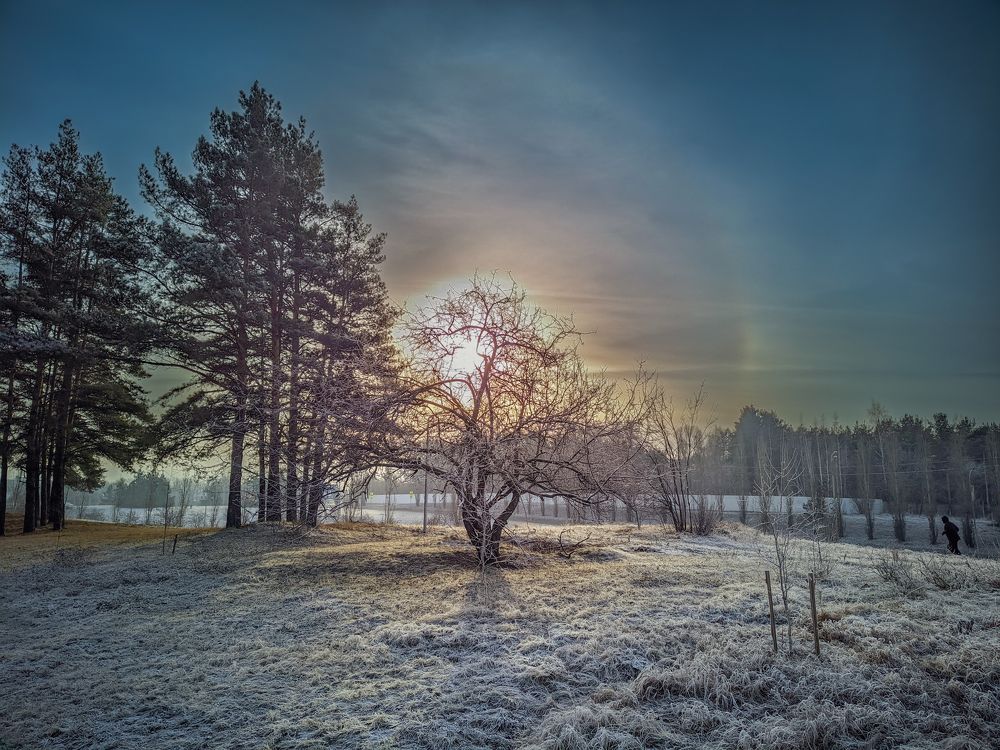 Photograph by Олега Тор