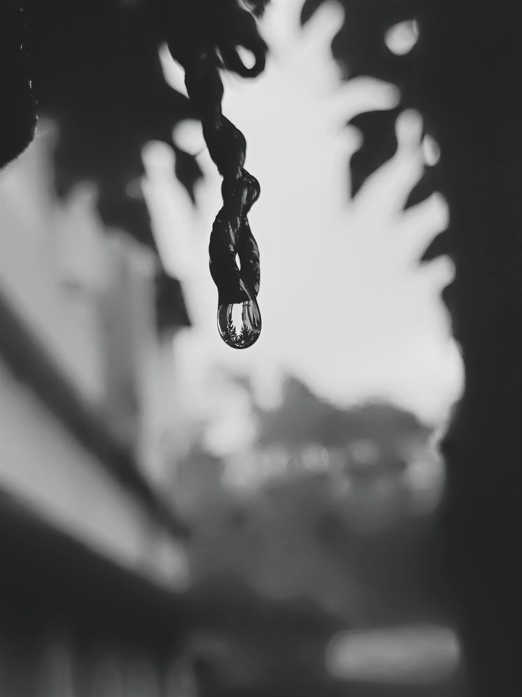 Photo #11689202