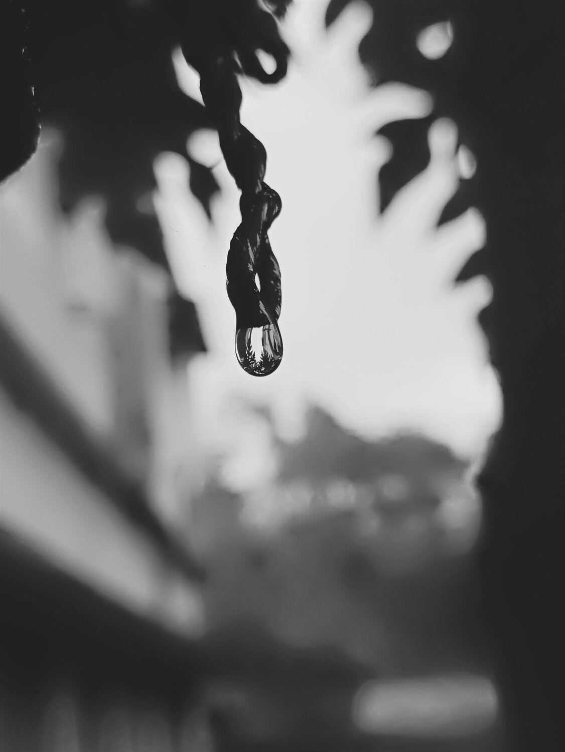 Photo #11689202
