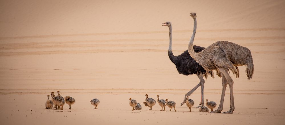 Photograph by Duc de Salier