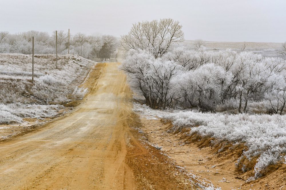 Photograph by Shannon Maltbie-Davis