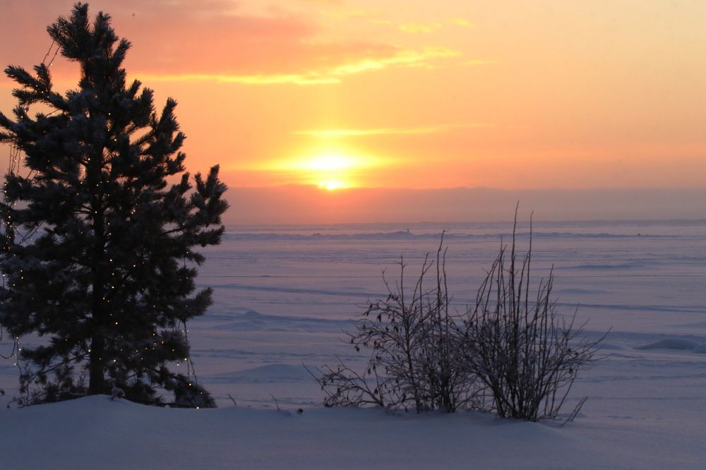Фотография автора Андрей Шувалов