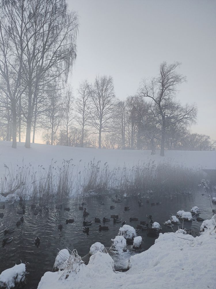 Фотография автора Олеся Непомнящих