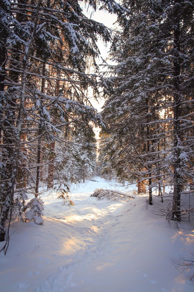 Photograph by Елена