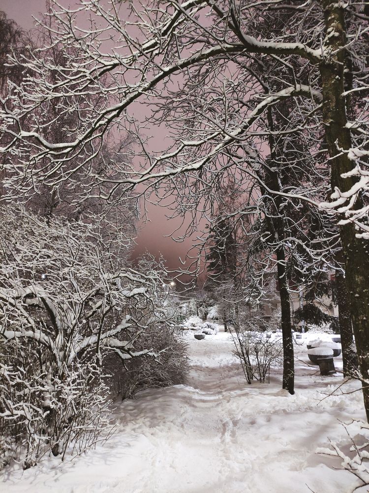 Фотография автора Олеся Непомнящих