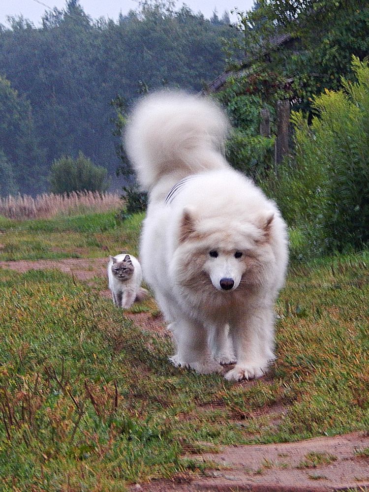 Photograph by Юрий Пучков