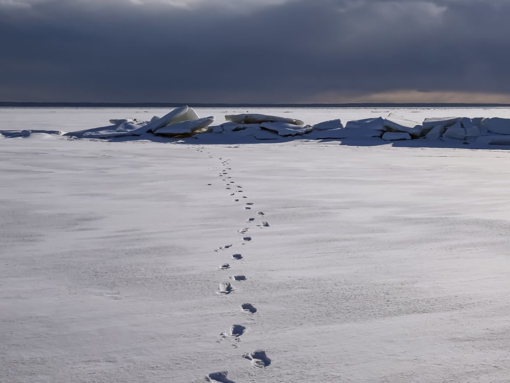 Photograph by Шутов Владимир