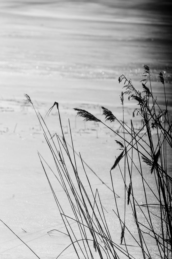 Фотография автора Aamoda Kitchen