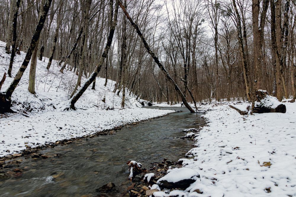 Photograph by Сергей Христинич