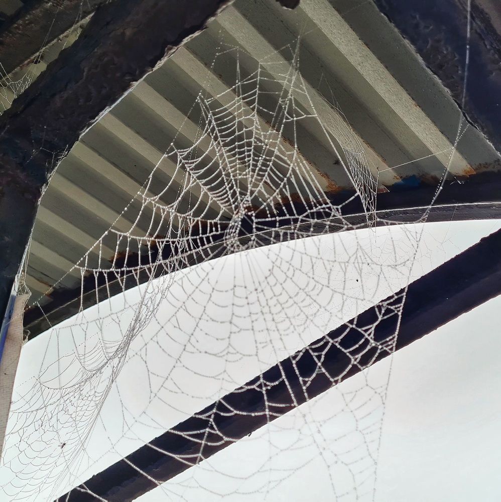 Photograph by Оксана Новикова