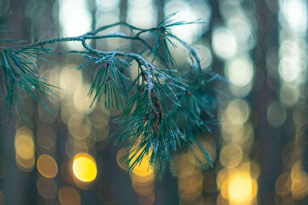 Фотография автора Aamoda Kitchen